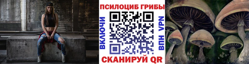 что такое   Бологое  Галлюциногенные грибы Psilocybine cubensis 