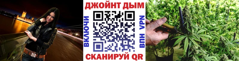 Канабис ГИДРОПОН  Бологое 